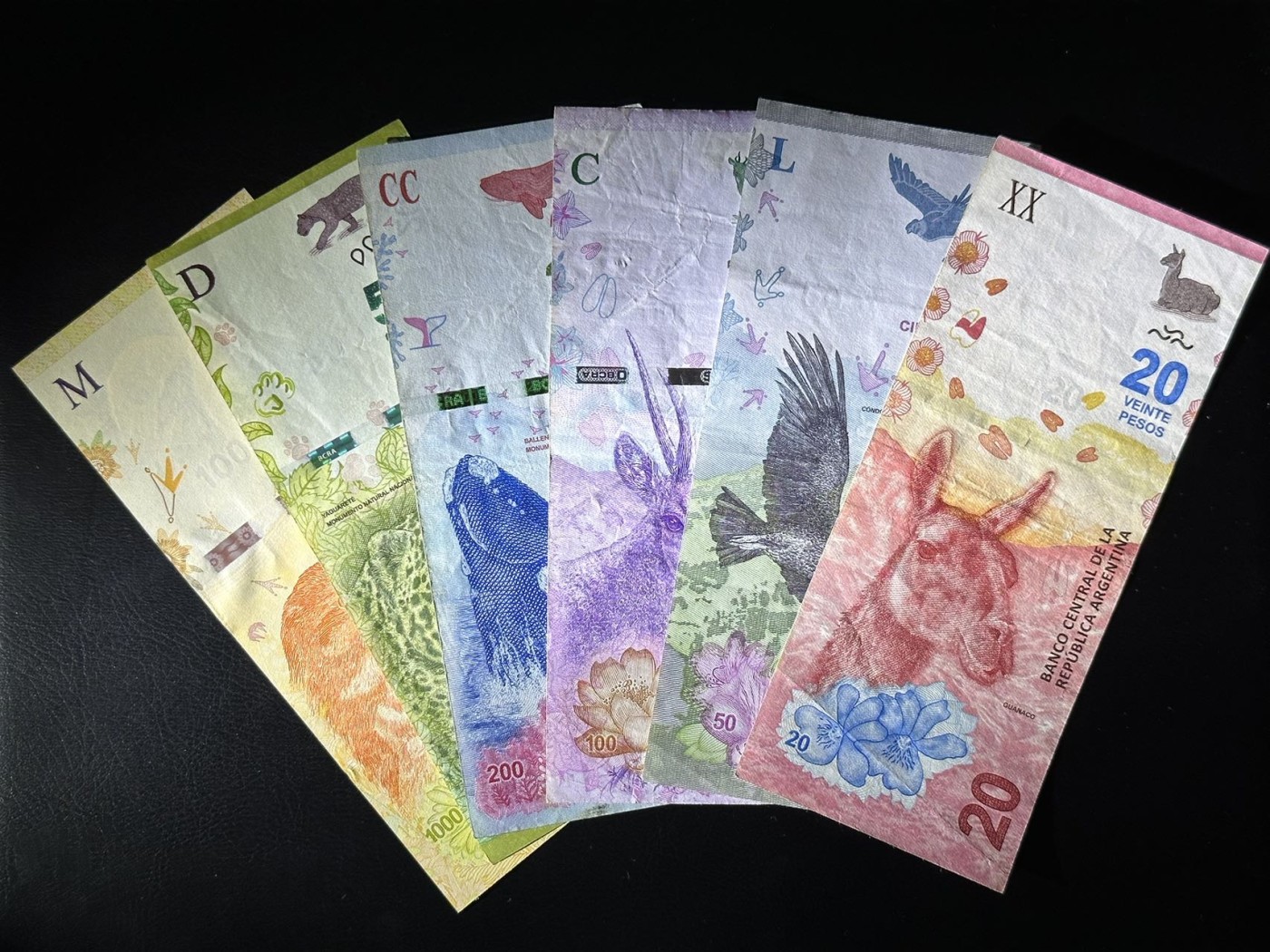 八月最后一场，第十五期大拍 阿根廷大全套一组六张，动物版本，非常漂亮