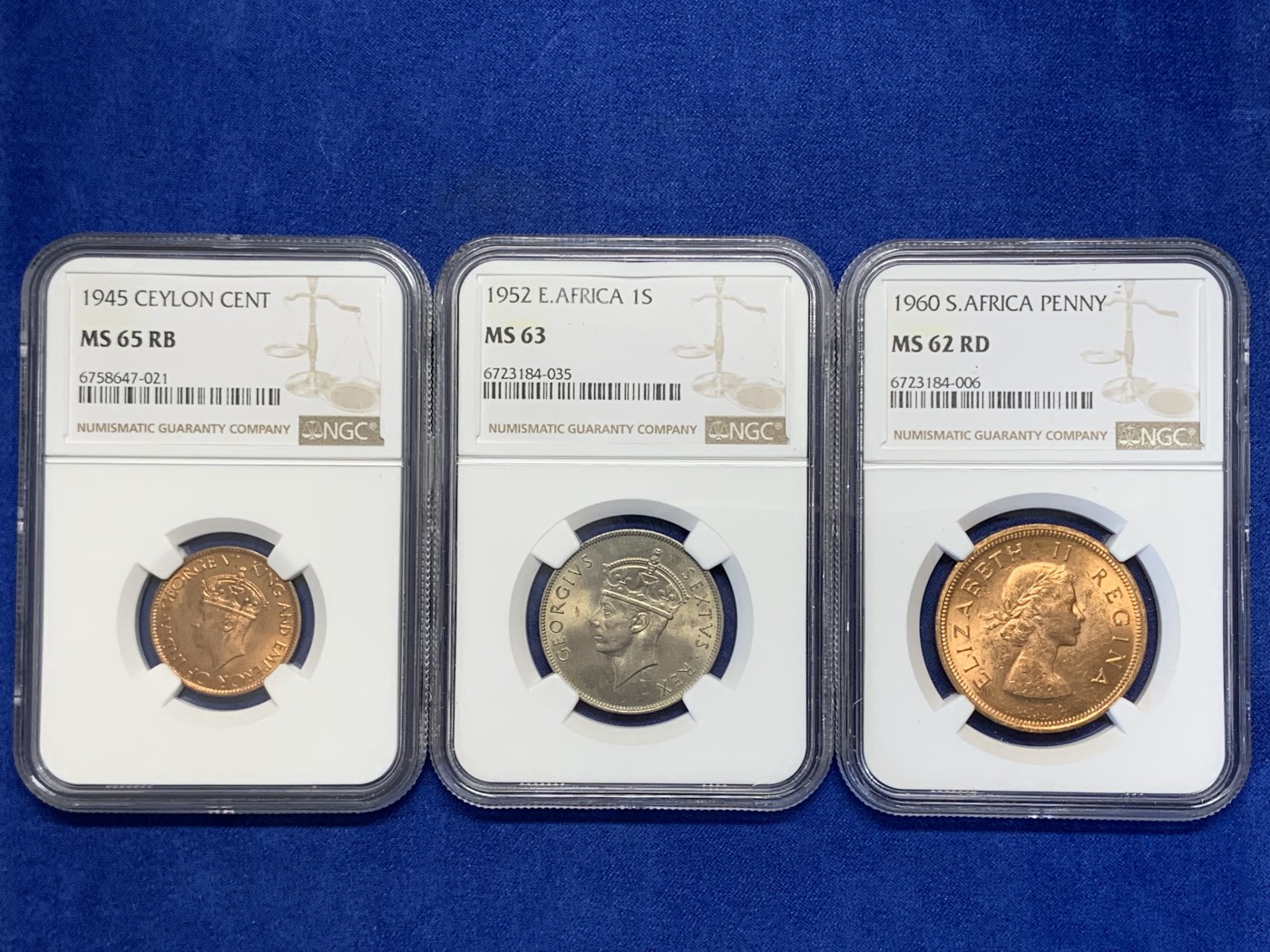 《竞宝斋》第193场-周日，周一 2场 (全场包邮) 3枚一组 NGC-MS62英属南非女王1便士铜币，光度好低评+NGC-MS65英属锡兰乔六1分铜币，高分不多见+NGC-MS63英属东非1先令，好品带分少见