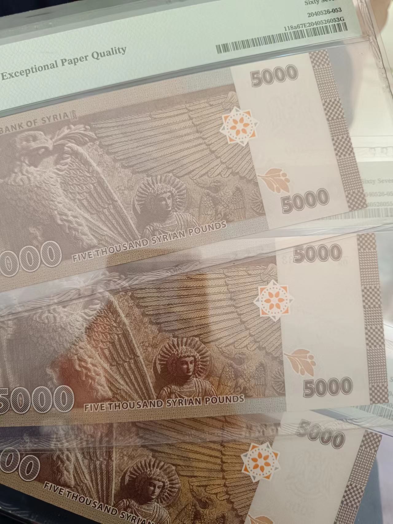 叙利亚5000旧版pmg67e3张
