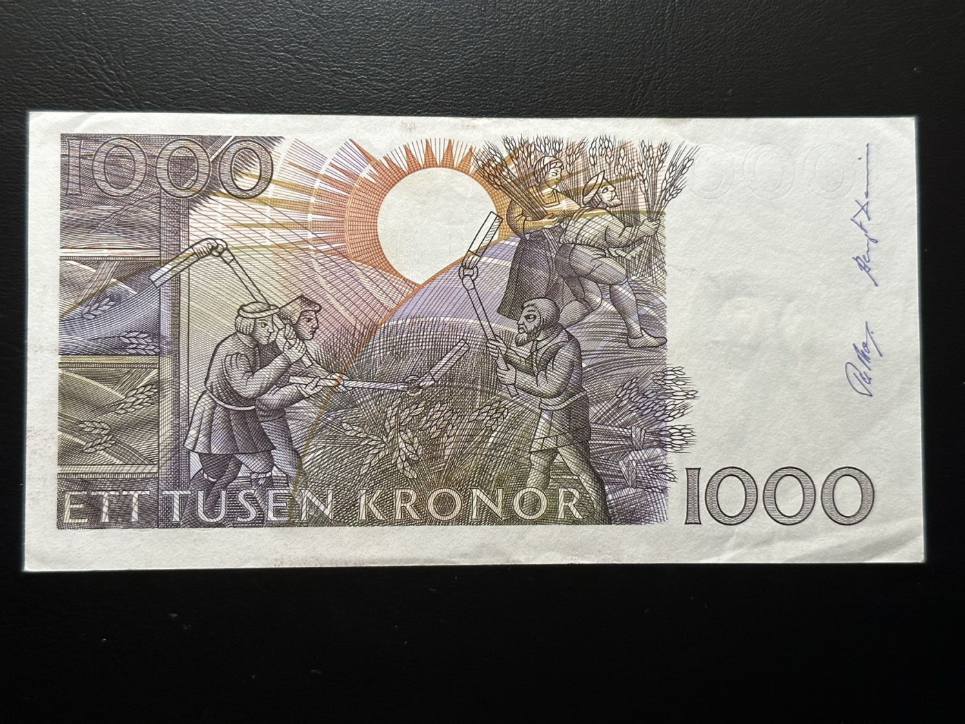 八月最后一场，第十五期大拍 瑞典大胡子，初代版本细安全线，品种非常好很受欢迎