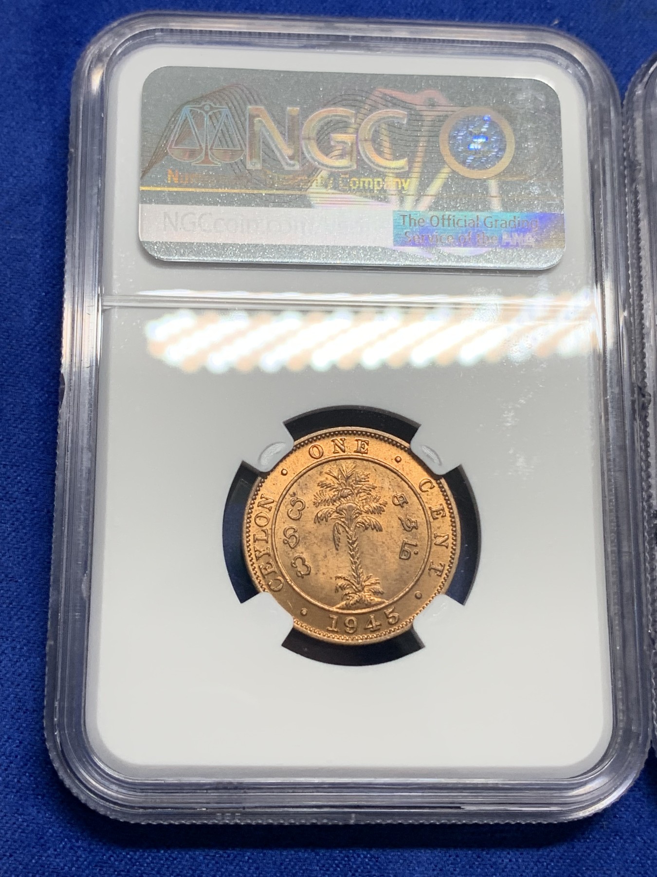 《竞宝斋》第193场-周日，周一 2场 (全场包邮) 3枚一组 NGC-MS62英属南非女王1便士铜币，光度好低评+NGC-MS65英属锡兰乔六1分铜币，高分不多见+NGC-MS63英属东非1先令，好品带分少见