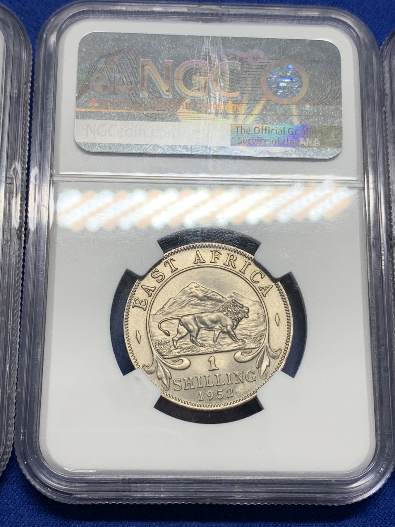 《竞宝斋》第193场-周日，周一 2场 (全场包邮) 3枚一组 NGC-MS62英属南非女王1便士铜币，光度好低评+NGC-MS65英属锡兰乔六1分铜币，高分不多见+NGC-MS63英属东非1先令，好品带分少见