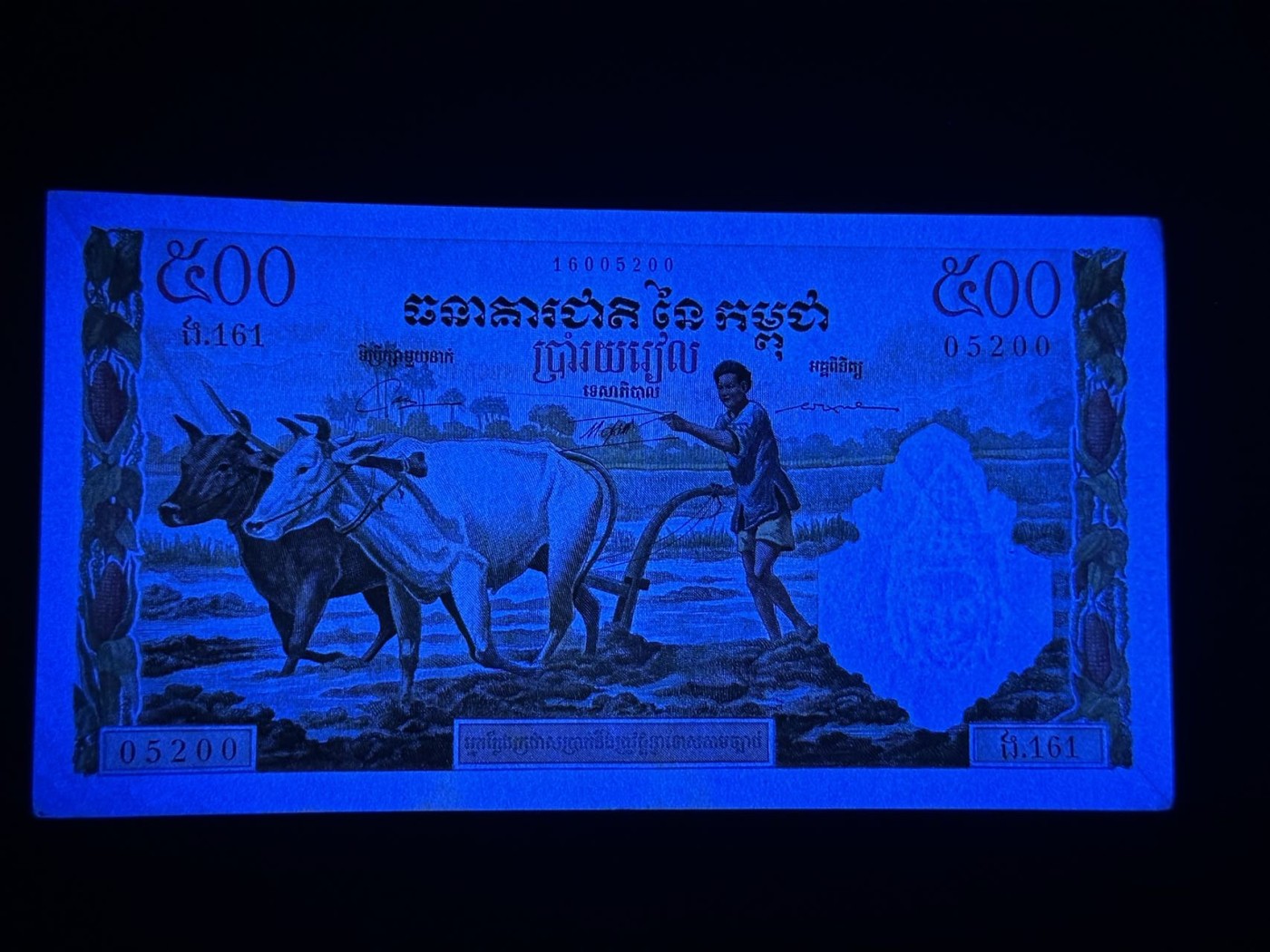 八月最后一场，第十五期大拍 大热品种，全程无47，柬埔寨500瑞尔耕牛，浓浓法属风格，非常漂亮