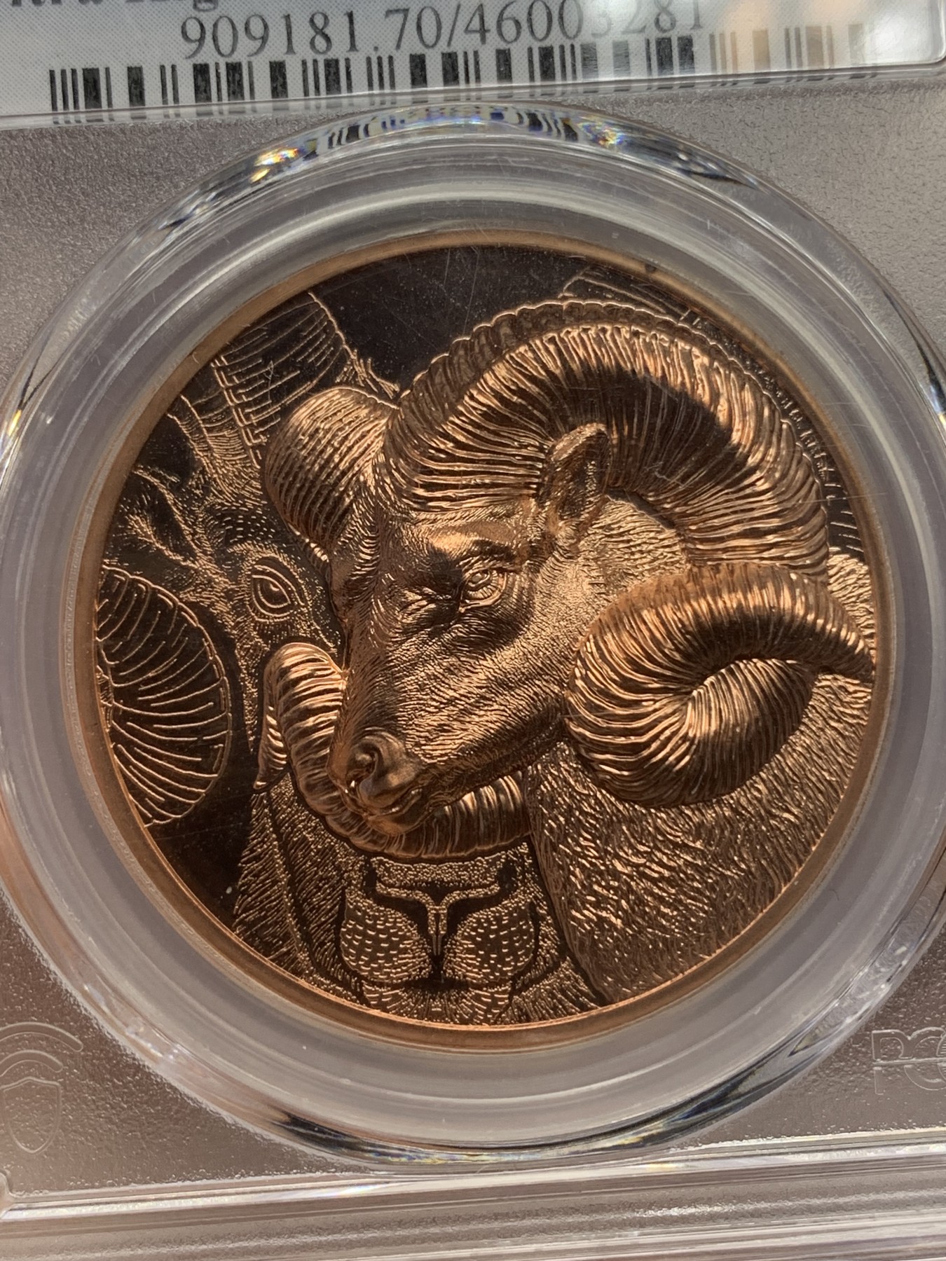 《竞宝斋》第193场-周日，周一 2场 (全场包邮) PCGS MSPL70RD 蒙古国 2022 盘羊 250图格里克铜币 完美超高浮雕