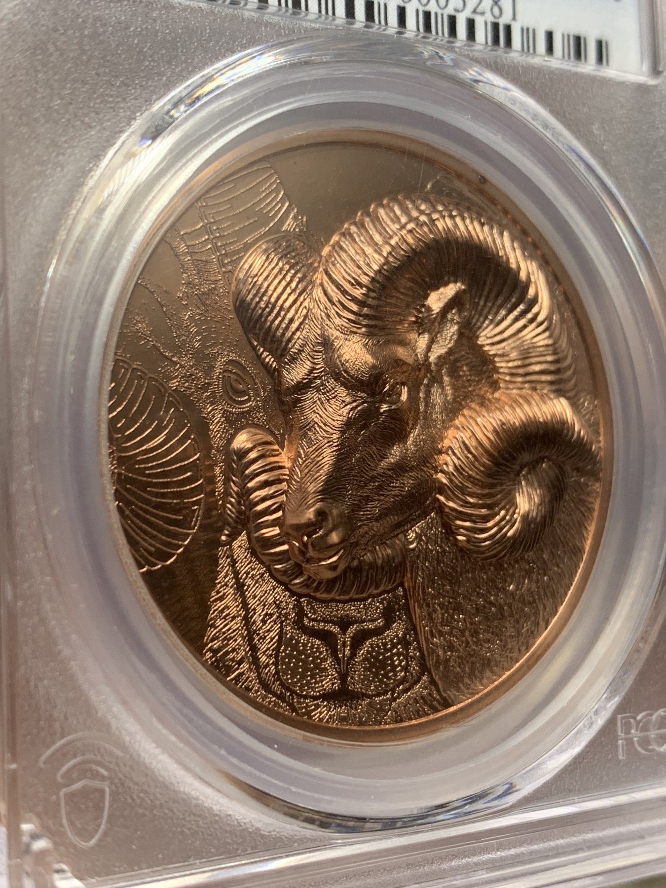 《竞宝斋》第193场-周日，周一 2场 (全场包邮) PCGS MSPL70RD 蒙古国 2022 盘羊 250图格里克铜币 完美超高浮雕