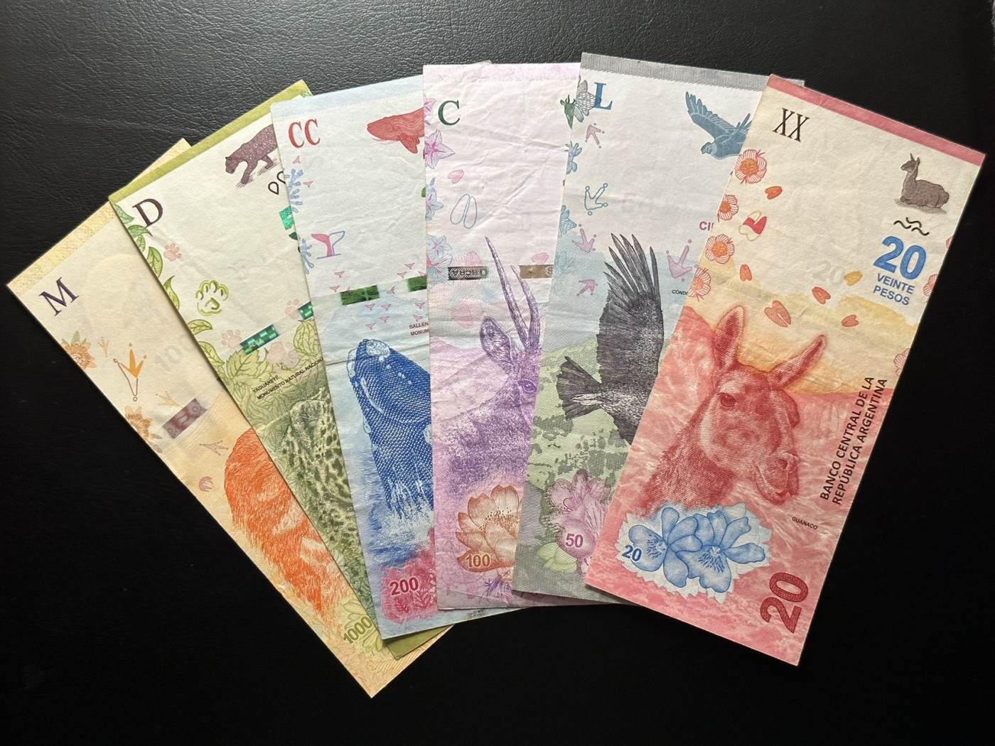 八月最后一场，第十五期大拍 阿根廷大全套一组六张，动物版本，非常漂亮