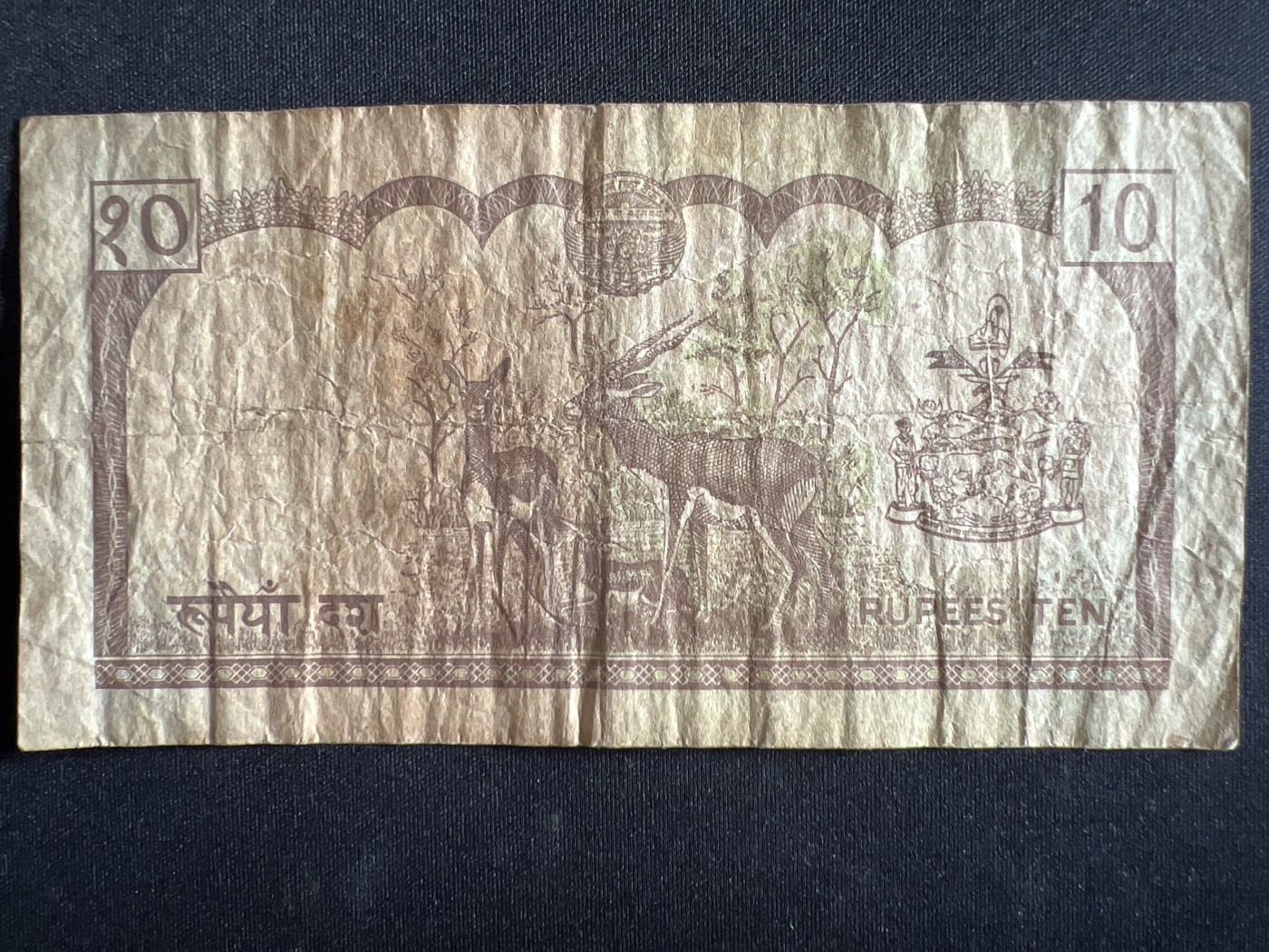 第398期 纸币币专场 （无押金，捡漏，全场20包邮，偏远地区除外，接收代拍业务） 尼泊尔10卢比