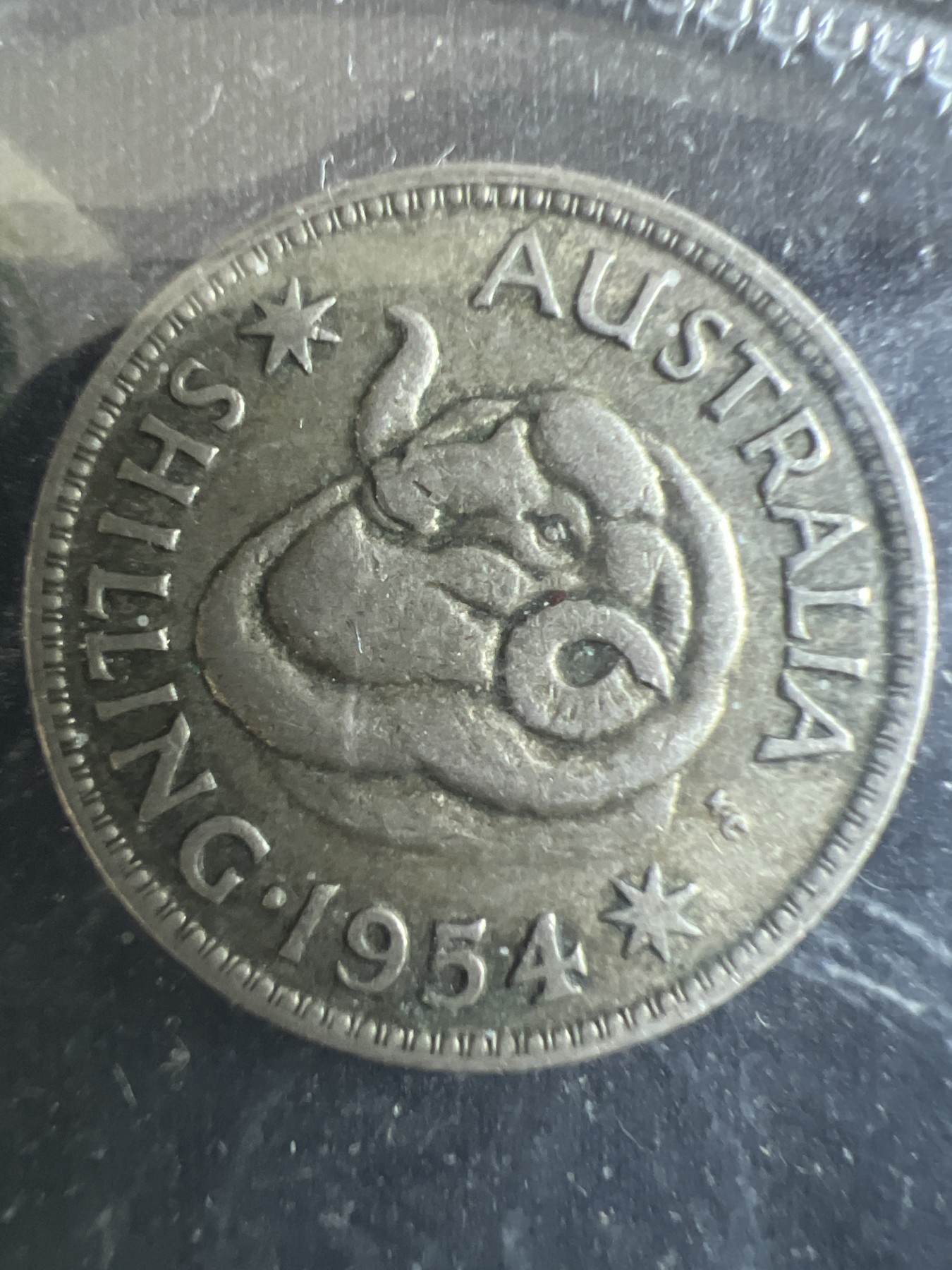 第4期 银币专场 （无押金，捡漏，全场20包邮，偏远地区除外，接收代拍业务） 澳大利亚 1954年 伊丽莎白 绵羊 一先令 银币