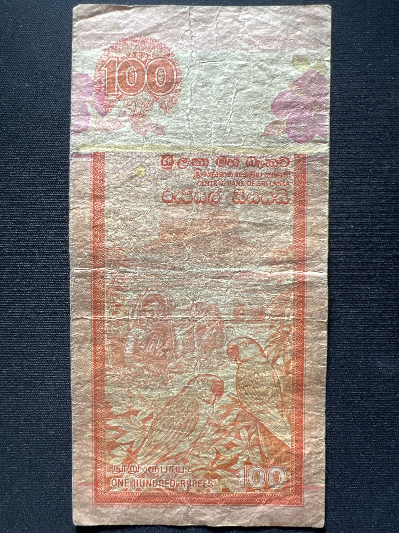 第398期 纸币币专场 （无押金，捡漏，全场20包邮，偏远地区除外，接收代拍业务） 斯里兰卡100卢比