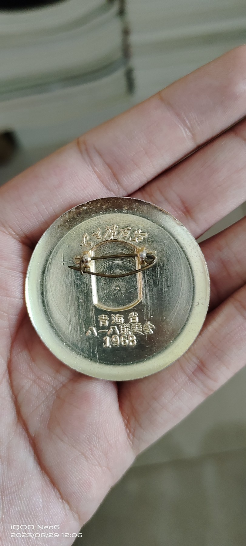 大庆红藏第五场 青海八一八三忠葵花