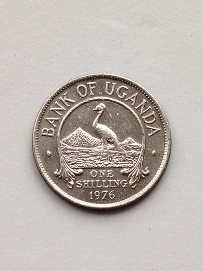  布加迪🐬～世界钱币🌼第23 期 / 非洲🦁散币专场～2 / 有起拍价 - 乌干达🇺🇬 1976年 1 先令 好品