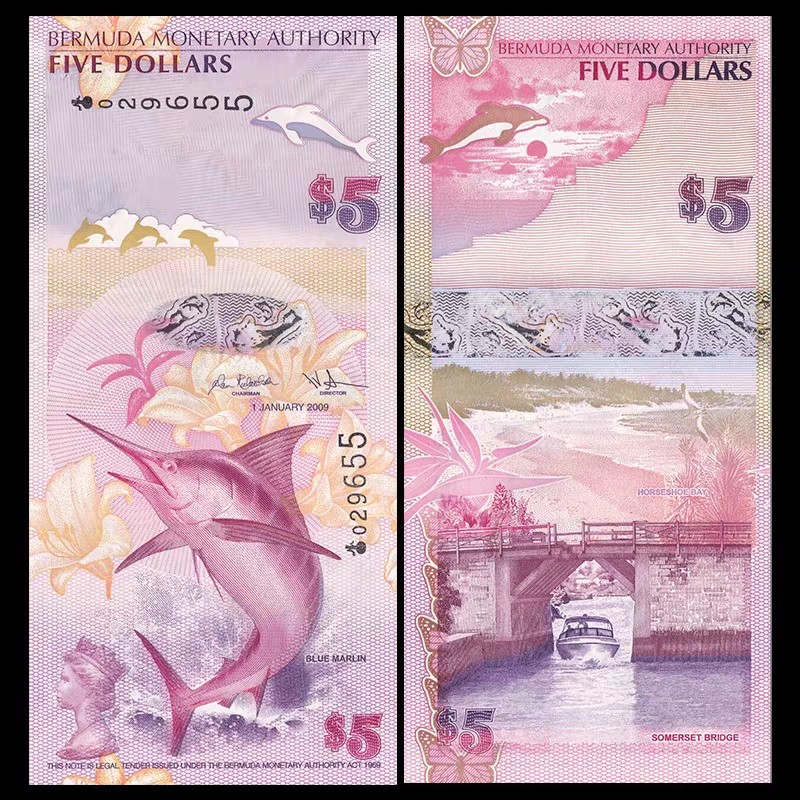 外钞专场第④场 美洲-百慕大5元 塑料窗口 蓝枪鱼 洋葱冠 2009年 全新UNC 