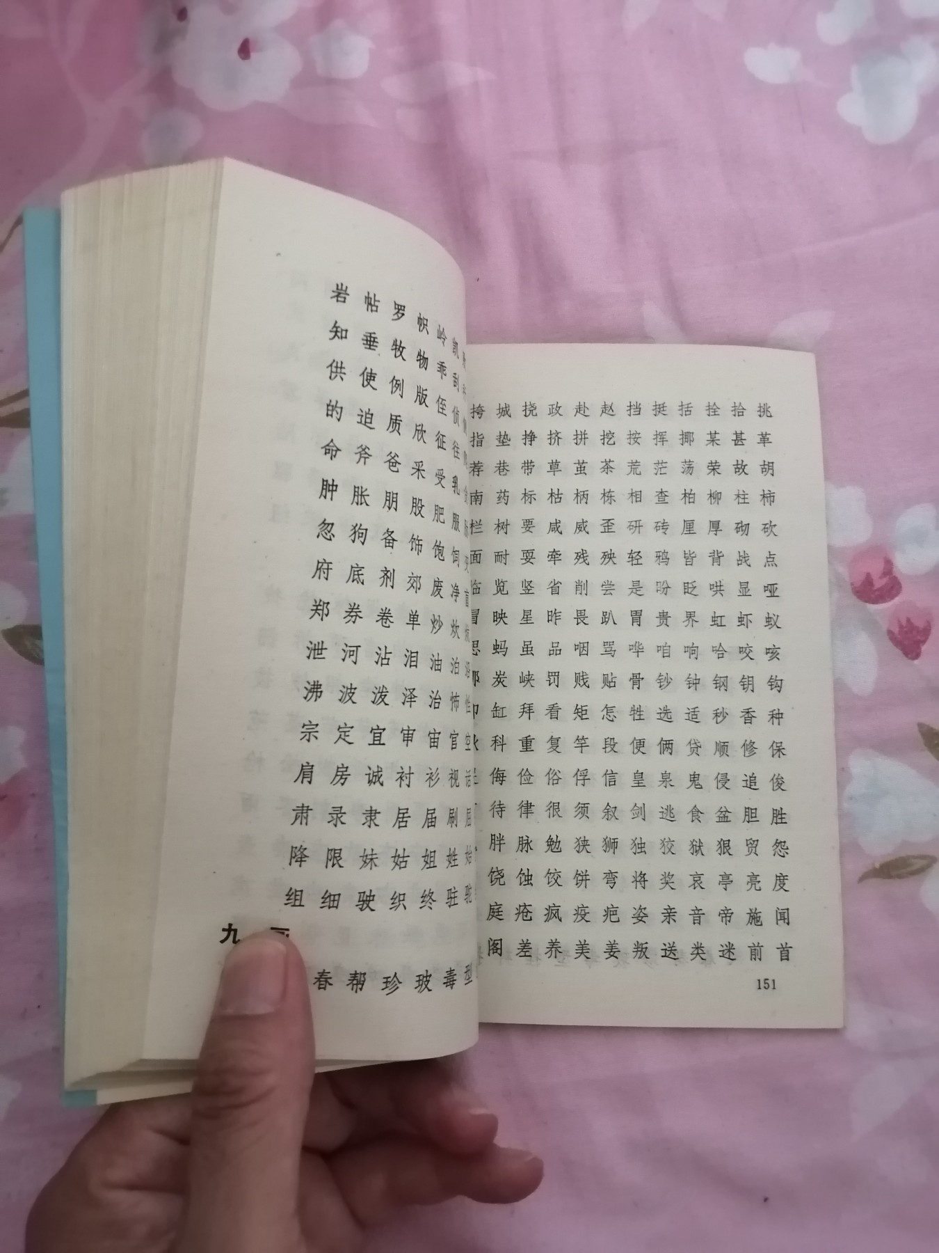 规范用字手册