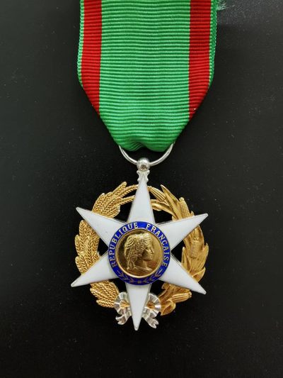 老王徽章拍卖第三期 - 法国骑士级农业勋章