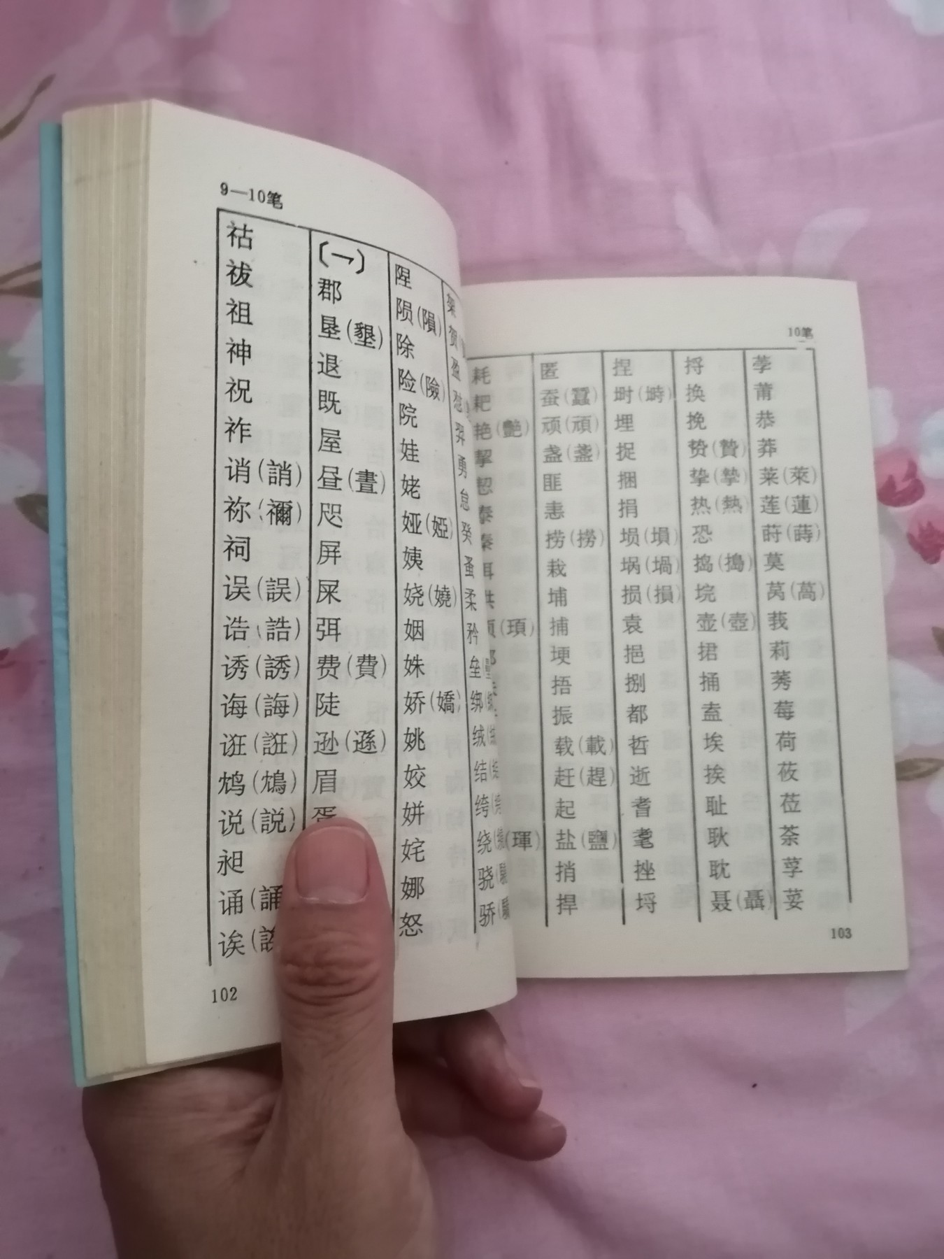 规范用字手册