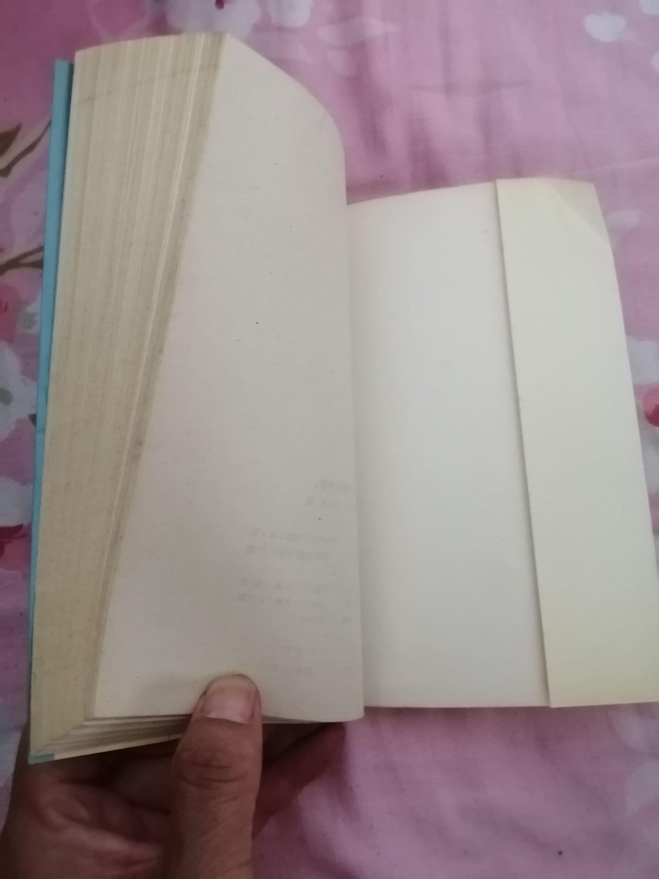 规范用字手册