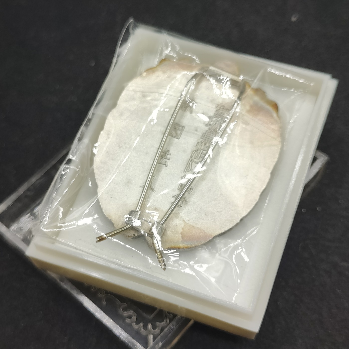 全场0元起拍 第87期 咸鱼国勋章拍卖专场 9月3日（周日）下午6：00开始 全新日本消防团勤续章带盒