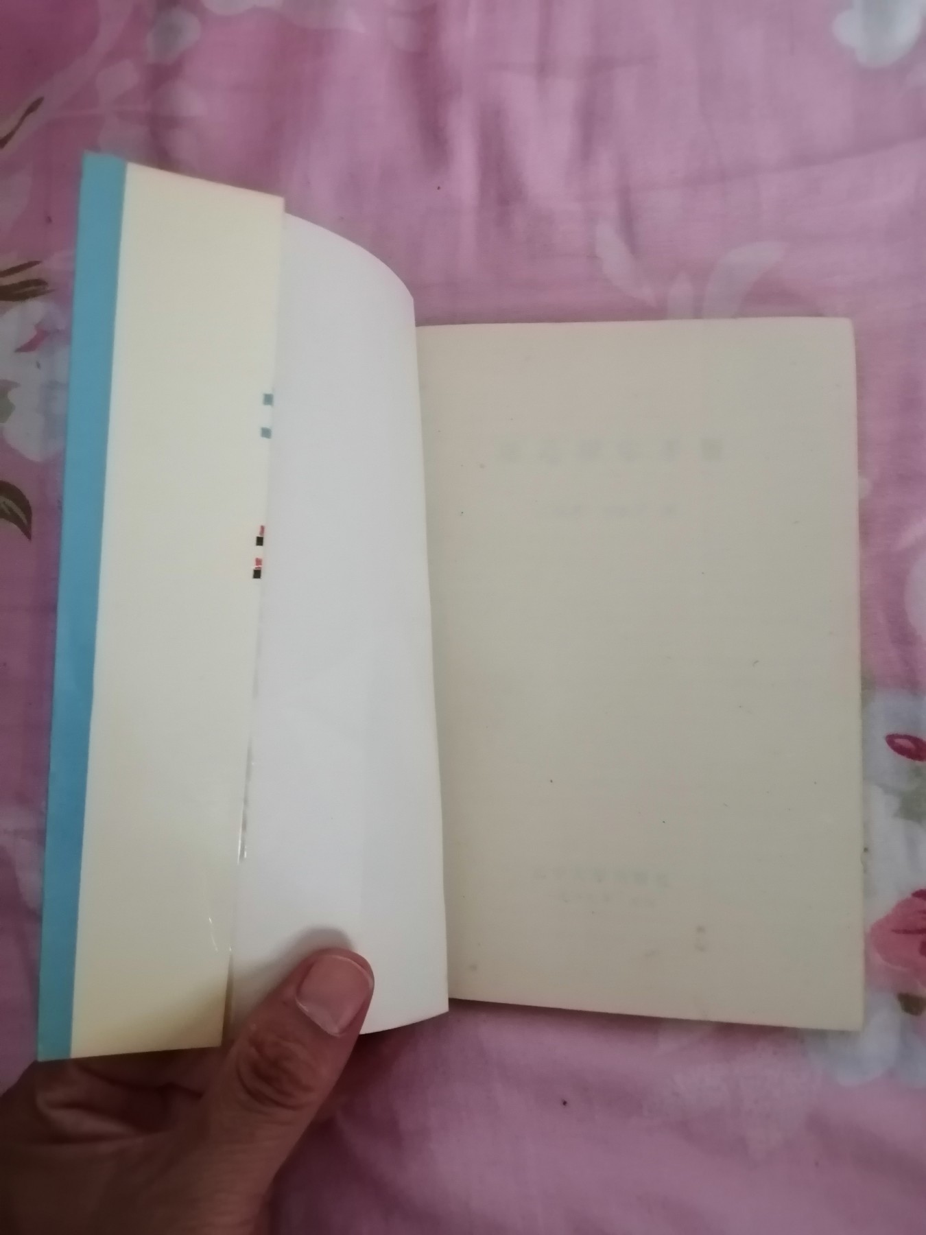 规范用字手册