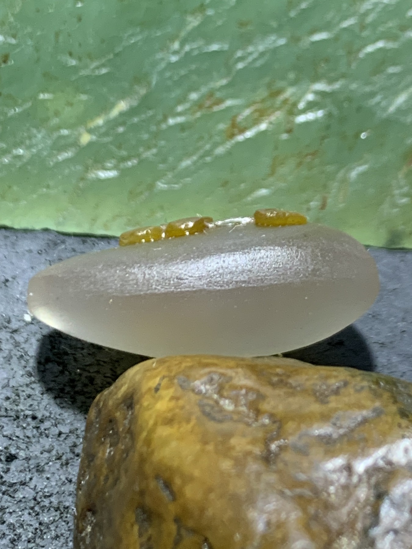 精美亚光冻料鸡油黄蒙料战国红玛瑙手工俏色巧雕太阳花吊坠一个
