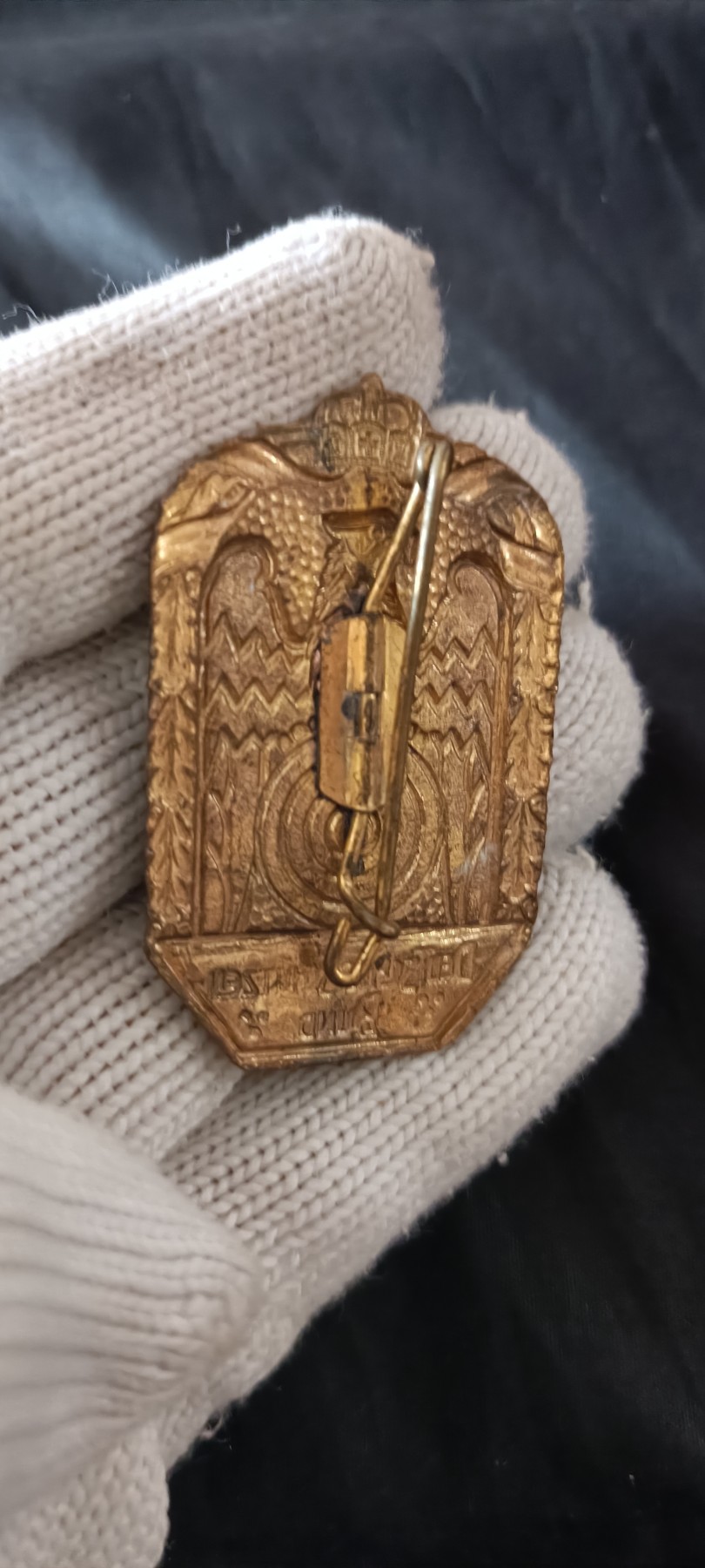 全场0起0押金！ 红色书章专场！ 老鹰章，大铜章