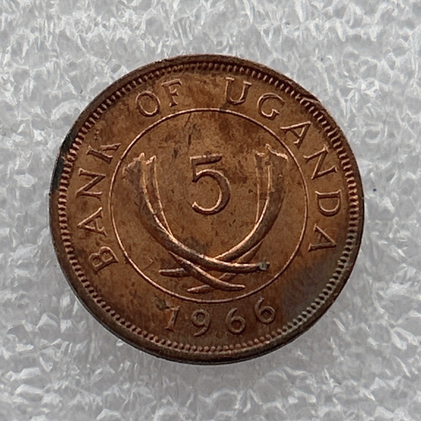 全场一元起拍 世界钱币散币场 第21期 乌干达1966年5分铜币