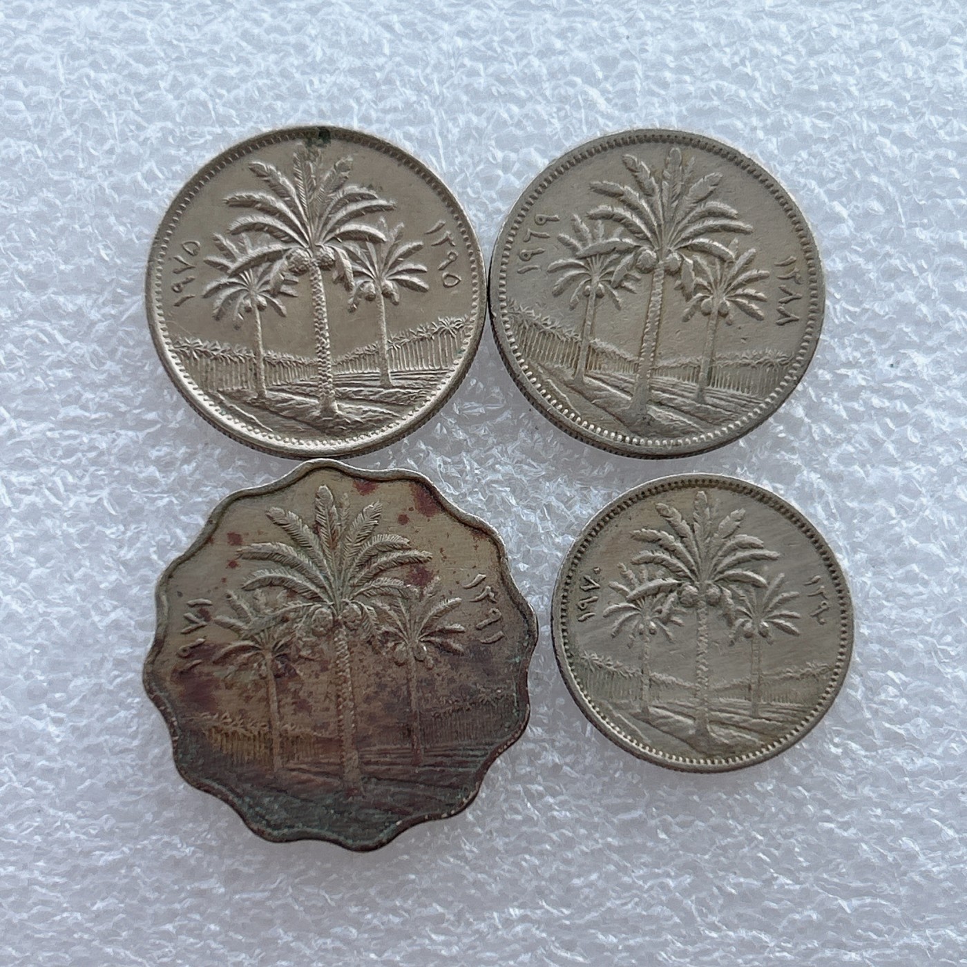 全场一元起拍 世界钱币散币场 第21期 伊拉克枣树版