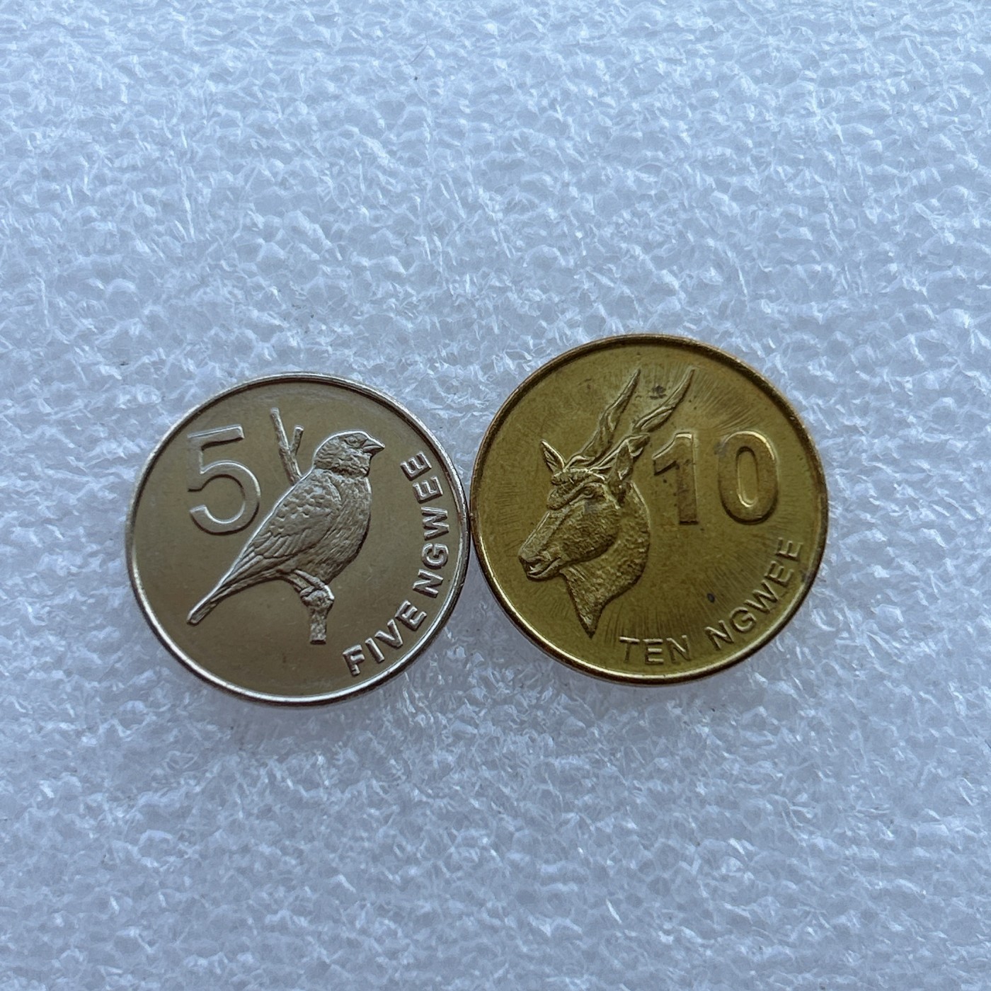 全场一元起拍 世界钱币散币场 第21期 赞比亚 动物