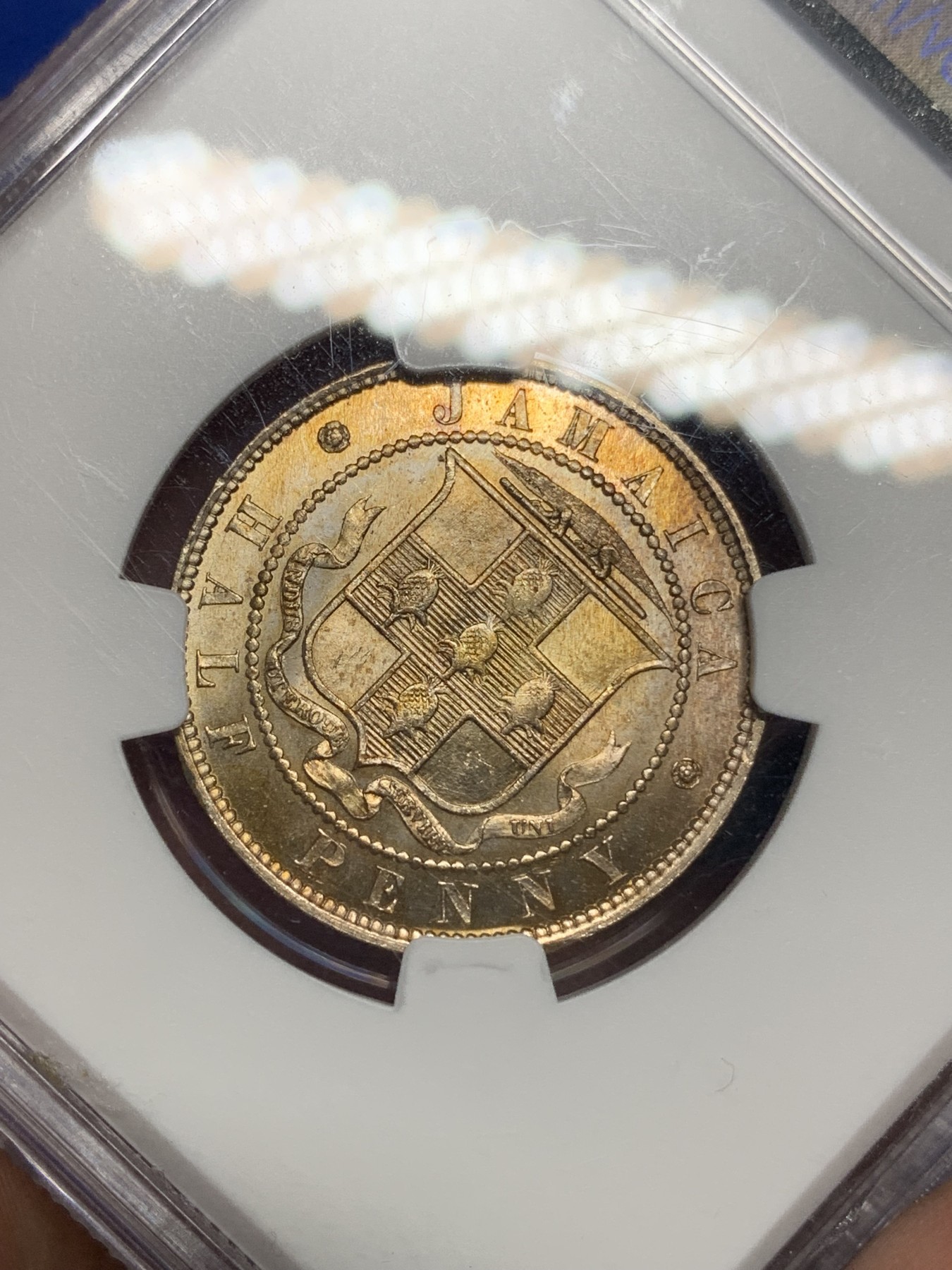 《竞宝斋》第194场-周日，周一 2场 (全场包邮) NGC-MS64 高分 牙买加1888年半便士铜镍币 转光好品