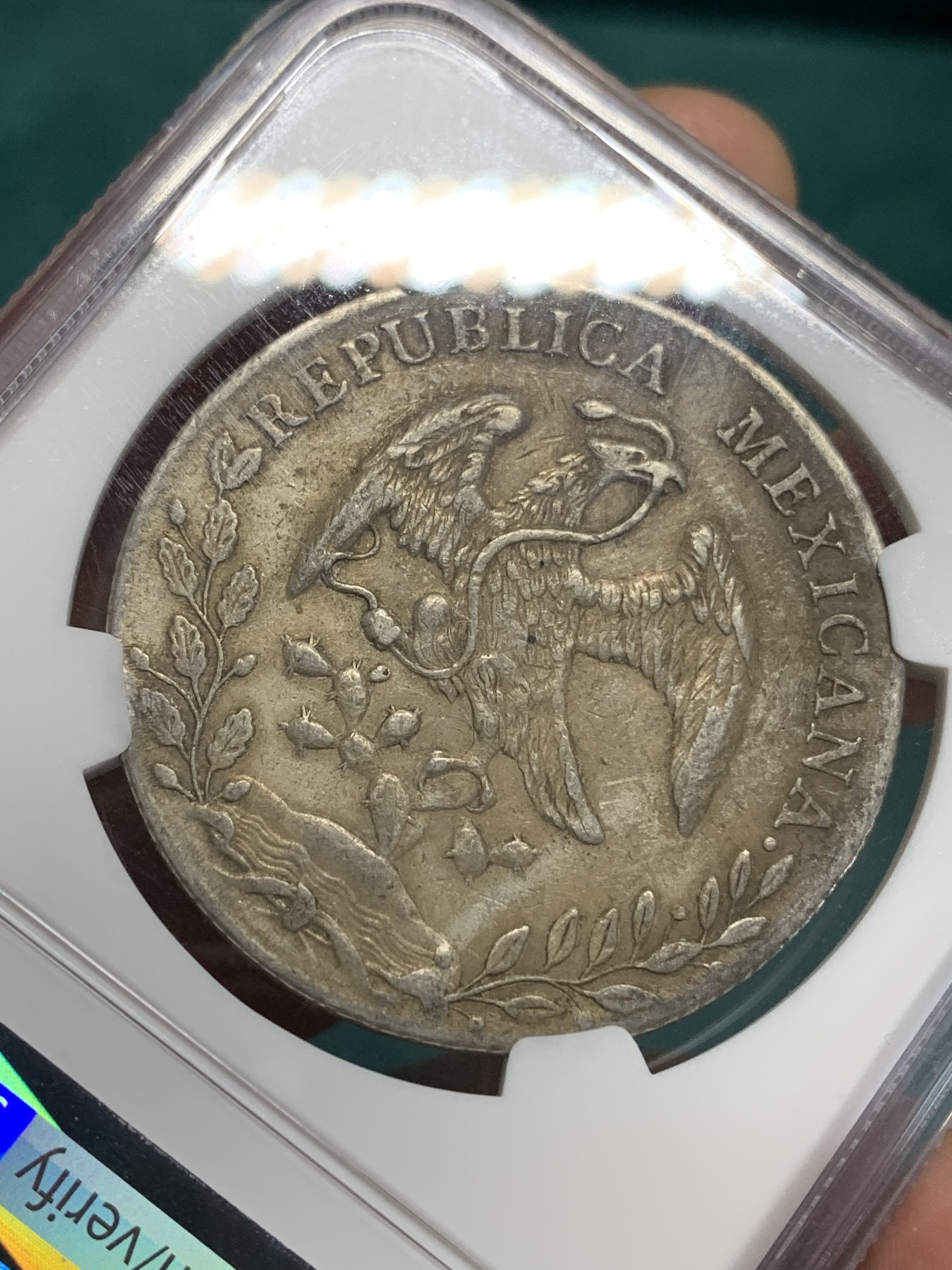 《竞宝斋》第194场-周日，周一 2场 (全场包邮) NGC AUD 墨西哥 鹰洋 8瑞尔银币 1891 AS ML 稀少厂别 铸造量仅53万枚