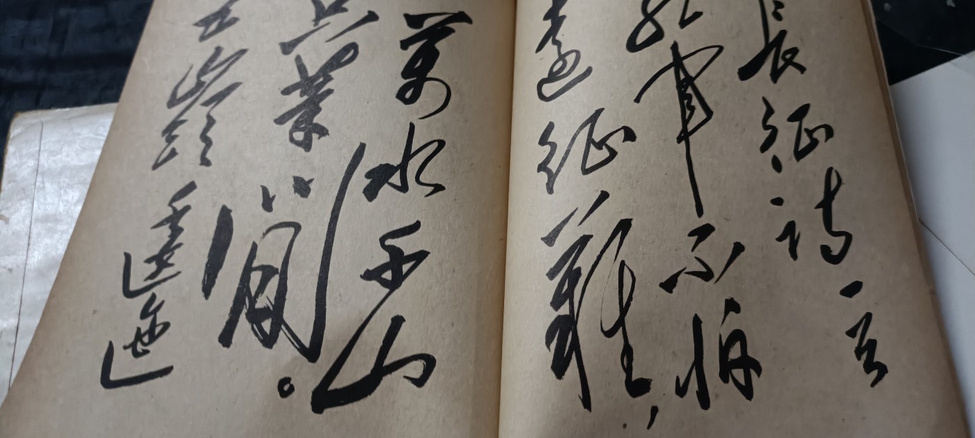 全场0起0押金！ 红色书章专场！ 大幅毛手书