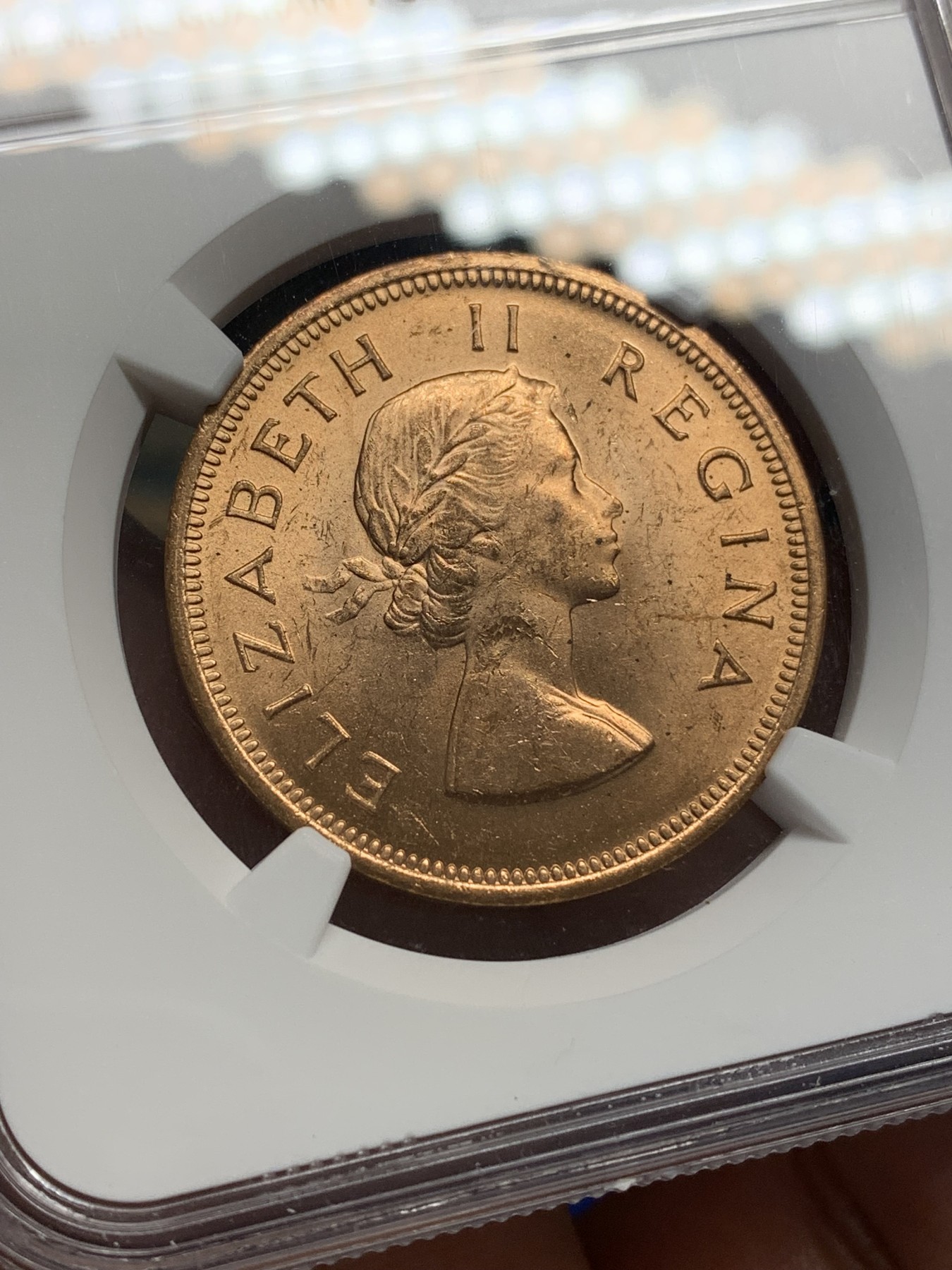 《竞宝斋》第195场-周日，周一 2场 (全场包邮) 两枚一组 NGC-MS64英属印度乔五1/12安娜铜币+NGC-MS62英属南非女王1便士铜币 光度好低评