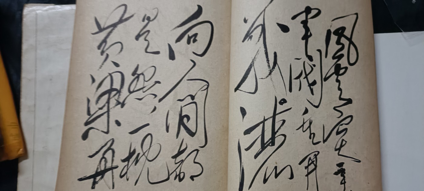 全场0起0押金！ 红色书章专场！ 大幅毛手书