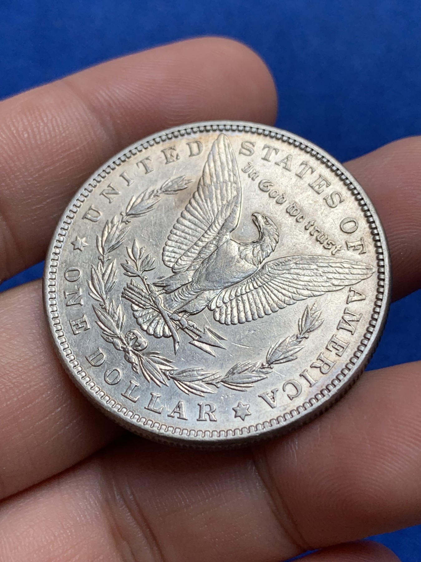 《竞宝斋》第195场-周日，周一 2场 (全场包邮) 美国1882年摩根1美元大银币 不多的年份