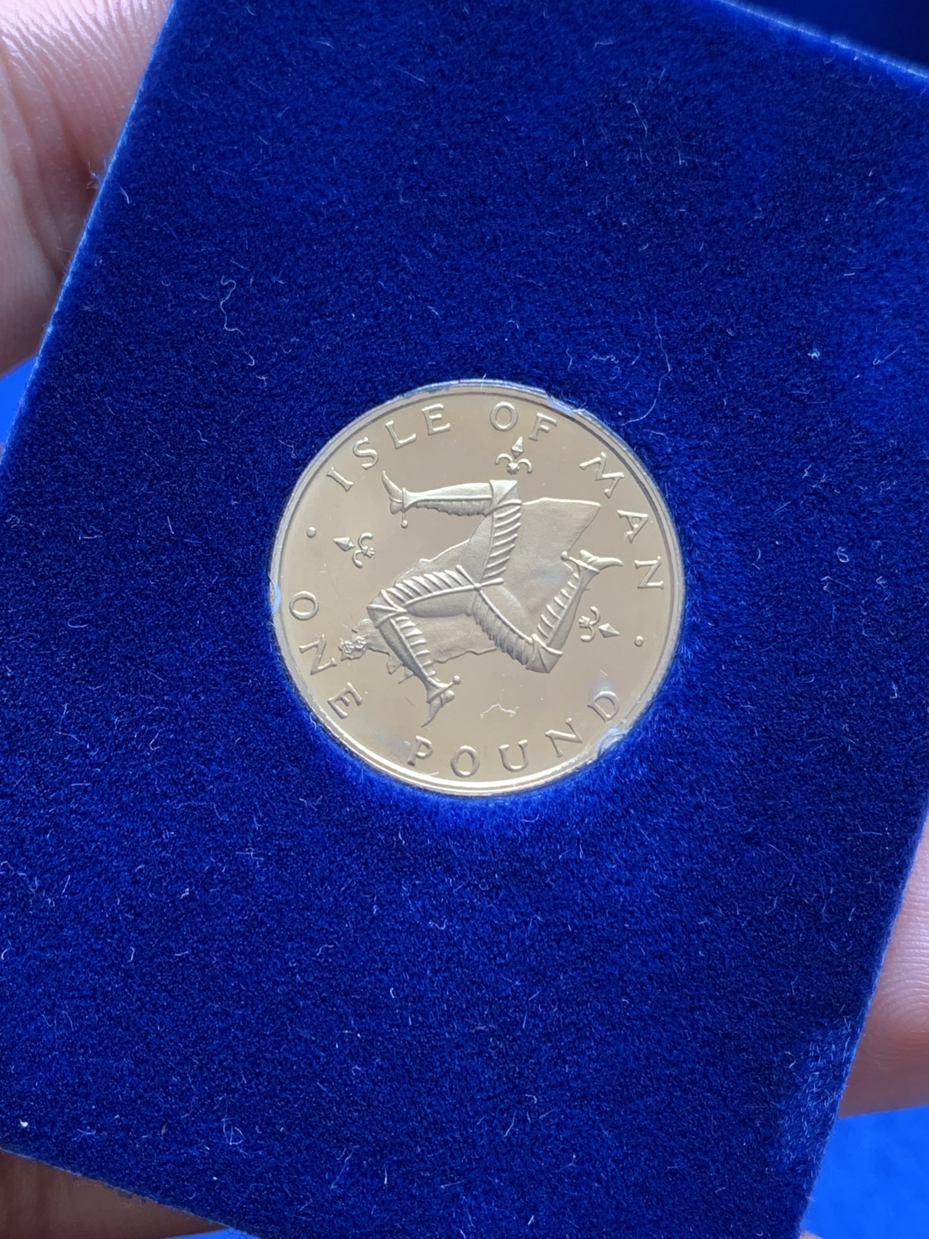 《竞宝斋》第195场-周日，周一 2场 (全场包邮) 英属马恩岛 1981年 伊丽莎白二世1镑精制币 带原盒证书 少见年份