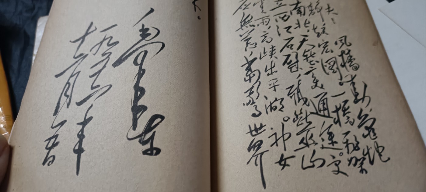 全场0起0押金！ 红色书章专场！ 大幅毛手书