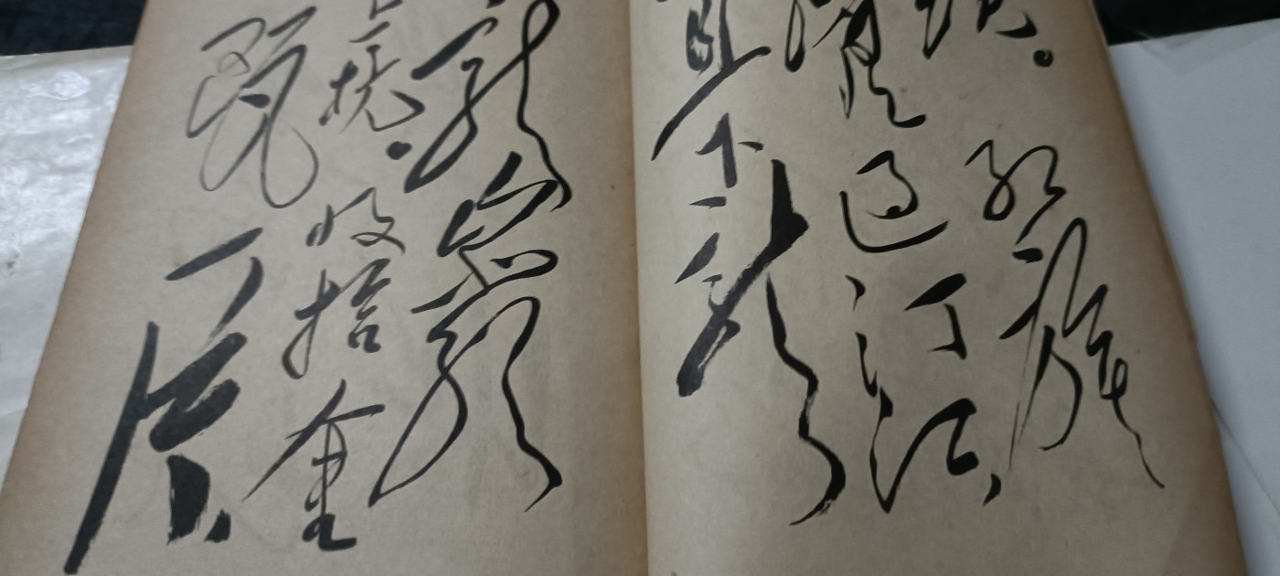 全场0起0押金！ 红色书章专场！ 大幅毛手书