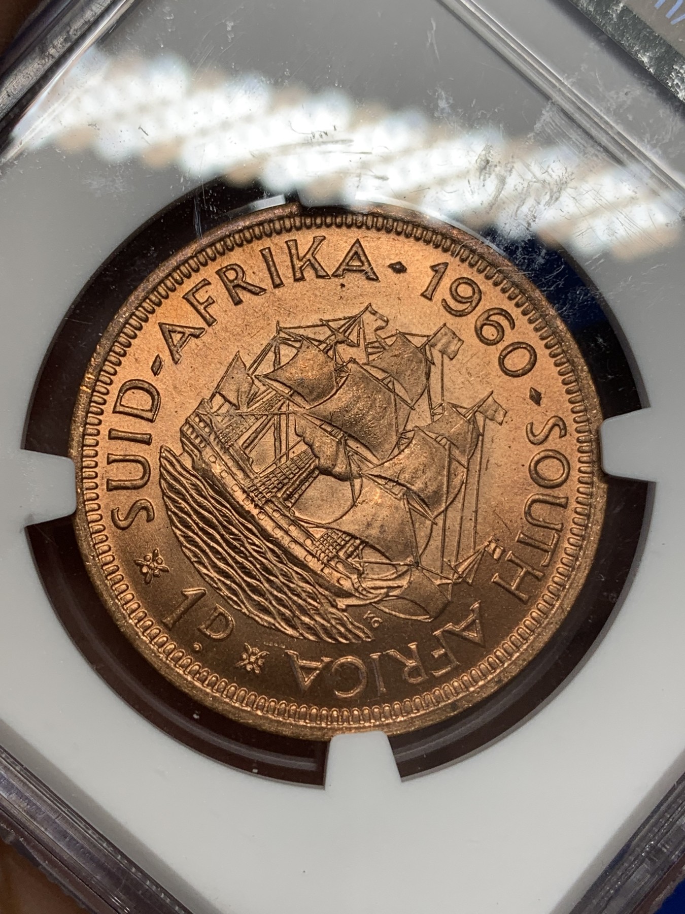 《竞宝斋》第195场-周日，周一 2场 (全场包邮) 两枚一组 NGC-MS64英属印度乔五1/12安娜铜币+NGC-MS62英属南非女王1便士铜币 光度好低评