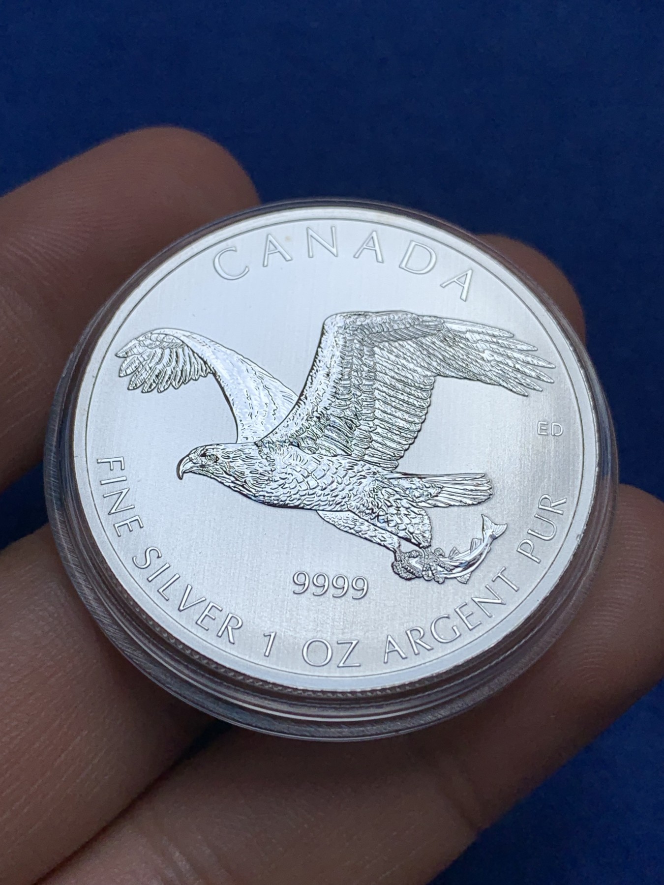 《竞宝斋》第195场-周日，周一 2场 (全场包邮) 加拿大 2014年 猛禽系列 鹰抓鱼 1盎司银币 31.1克 9999银 少见品种