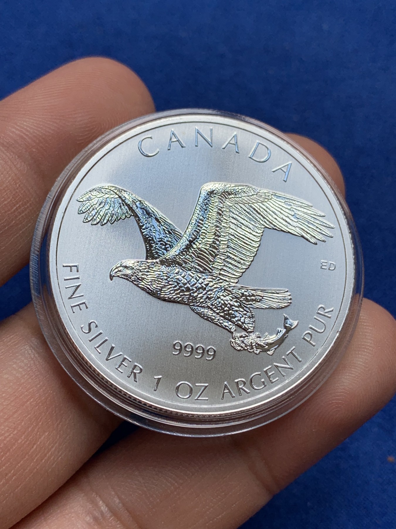 《竞宝斋》第195场-周日，周一 2场 (全场包邮) 加拿大 2014年 猛禽系列 鹰抓鱼 1盎司银币 31.1克 9999银 少见品种