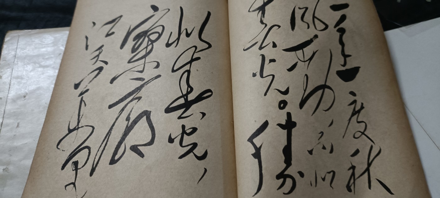 全场0起0押金！ 红色书章专场！ 大幅毛手书