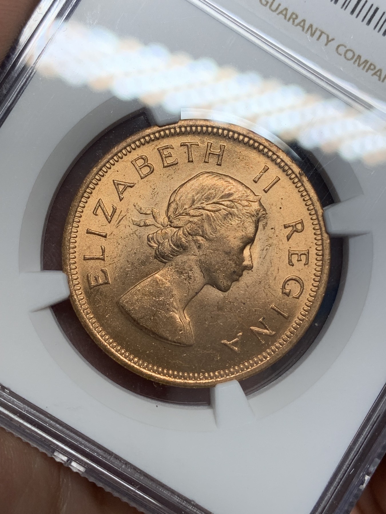 《竞宝斋》第195场-周日，周一 2场 (全场包邮) 两枚一组 NGC-MS64英属印度乔五1/12安娜铜币+NGC-MS62英属南非女王1便士铜币 光度好低评