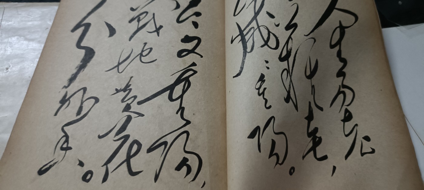 全场0起0押金！ 红色书章专场！ 大幅毛手书