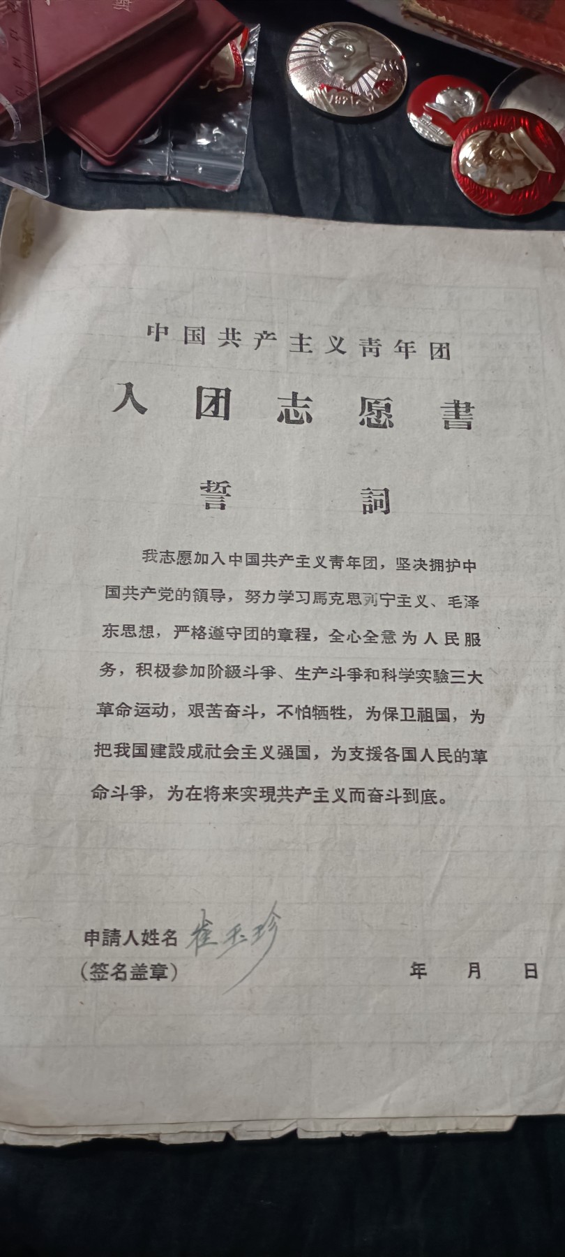 全场0起0押金！ 红色书章专场！ wg入团申请书