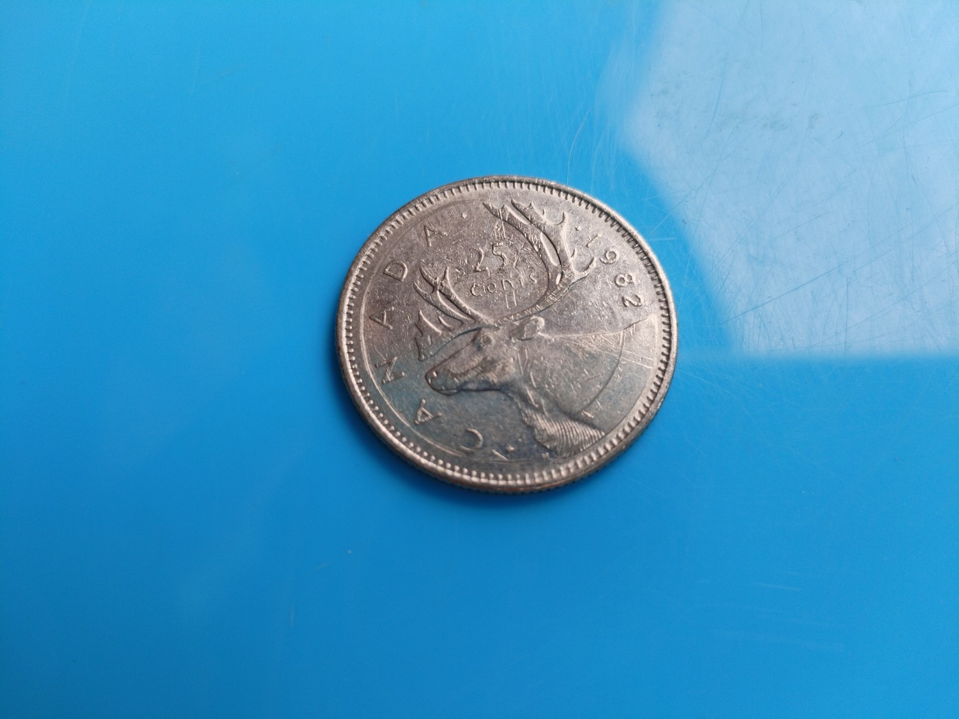 初雪钱币专场（第六期） 1982年加拿大25分