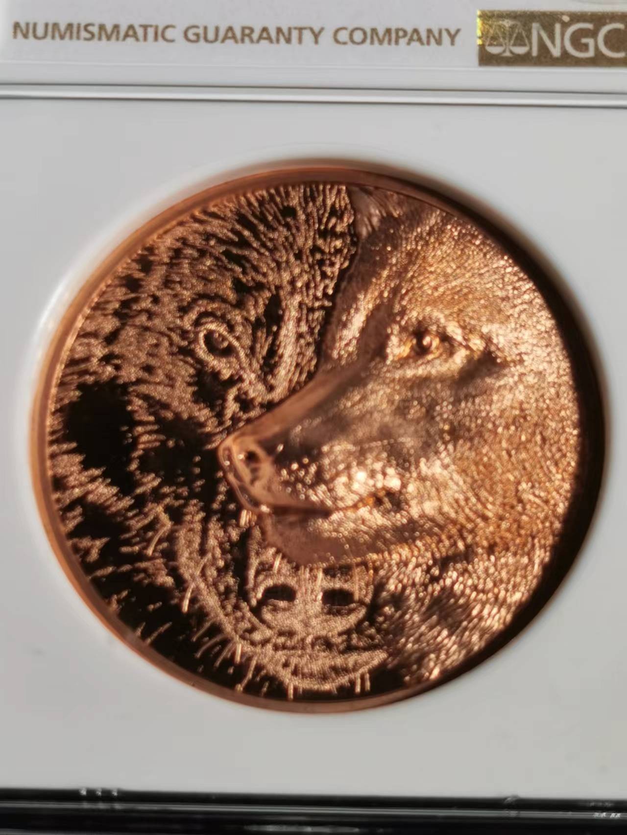 刘世昌艺术品销售中心～虎踞龙蟠*金杨在线联拍群第515期 蒙古2021年“草原狼～双面高浮雕”50克250图格里克精制纪念铜币（NGC  PF69RDUC   串号：6752013-003 ）1枚，原证书。