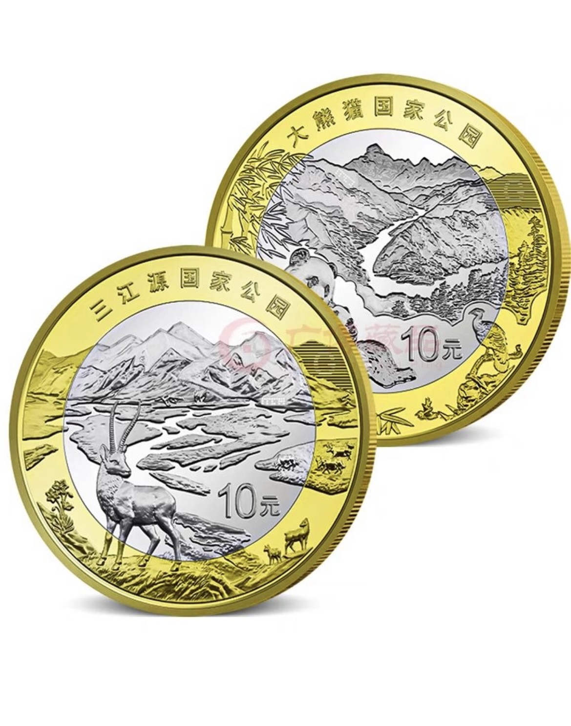 藏品阁（第六期）各种评级钱币实时专场 三江源纪念币和大熊猫纪念币面值10元