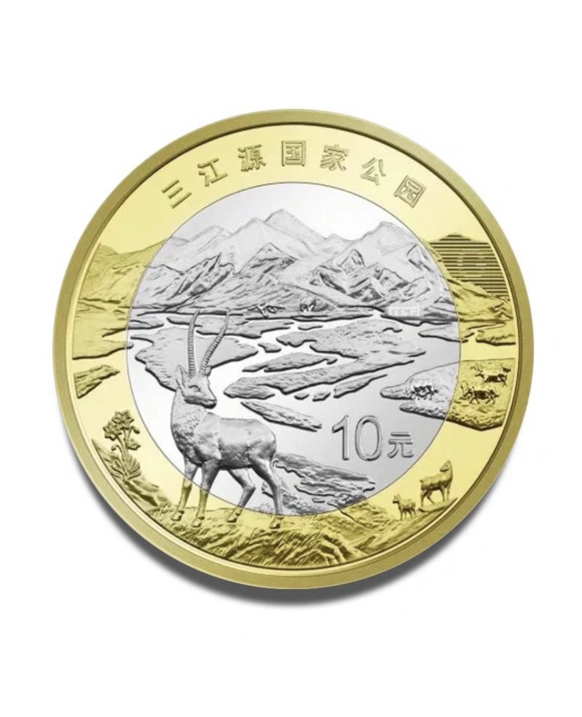 藏品阁（第六期）各种评级钱币实时专场 三江源纪念币和大熊猫纪念币面值10元