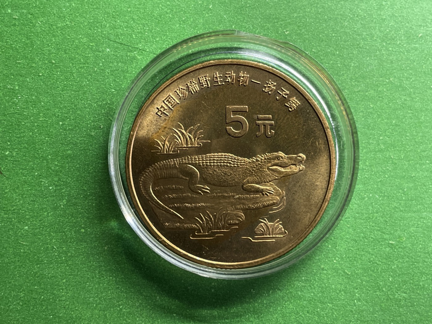 藏品阁（第六期）各种评级钱币实时专场 1998年中国珍惜野生动物扬子鳄纪念币