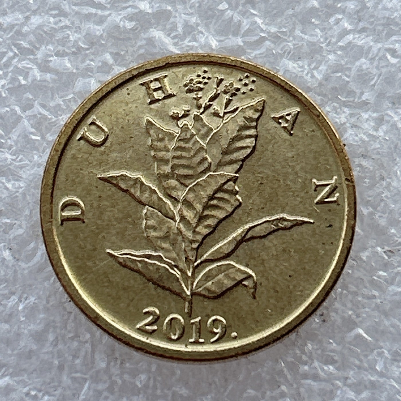 全场一元起拍 世界钱币散币场 第22期 克罗地亚2019年10利帕