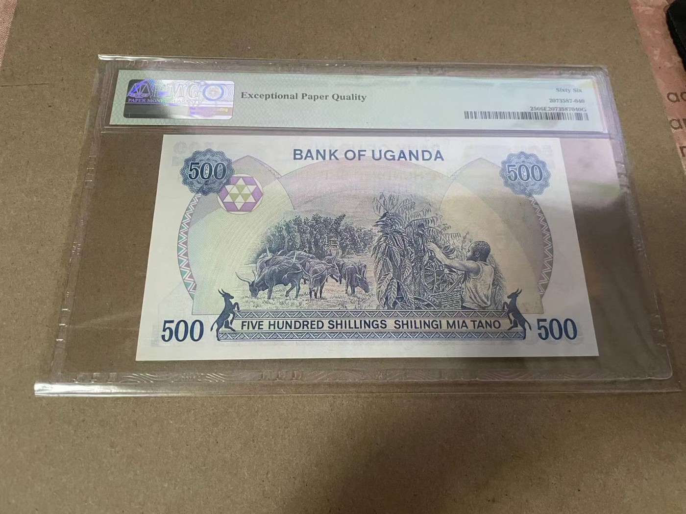 【Blue Auction】✨世界纸币精拍第368期——格雷伯爵夫妇 乌干达 1986年500先令 PMG66EPQ 